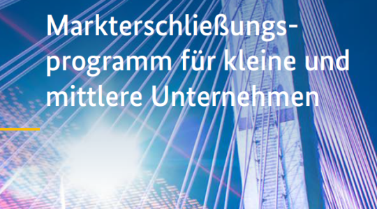 Markterschließung KMU