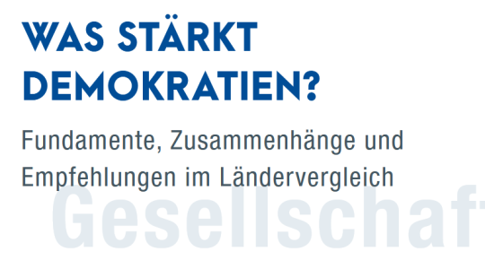 Screenshot Roman Herzog Institut Studie Demokratiestärkung